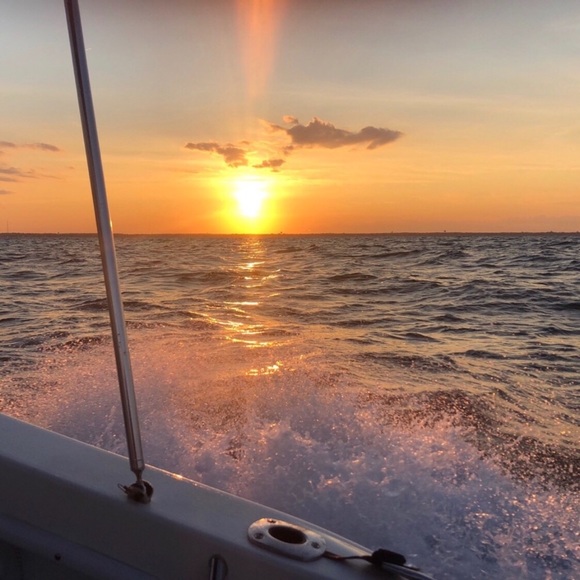 Meet your Posher, Veronica - Picture 5 of 8